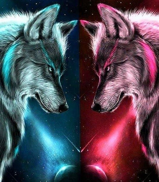 Featured image of post Anime Galaxy Cool Wolf Wallpapers