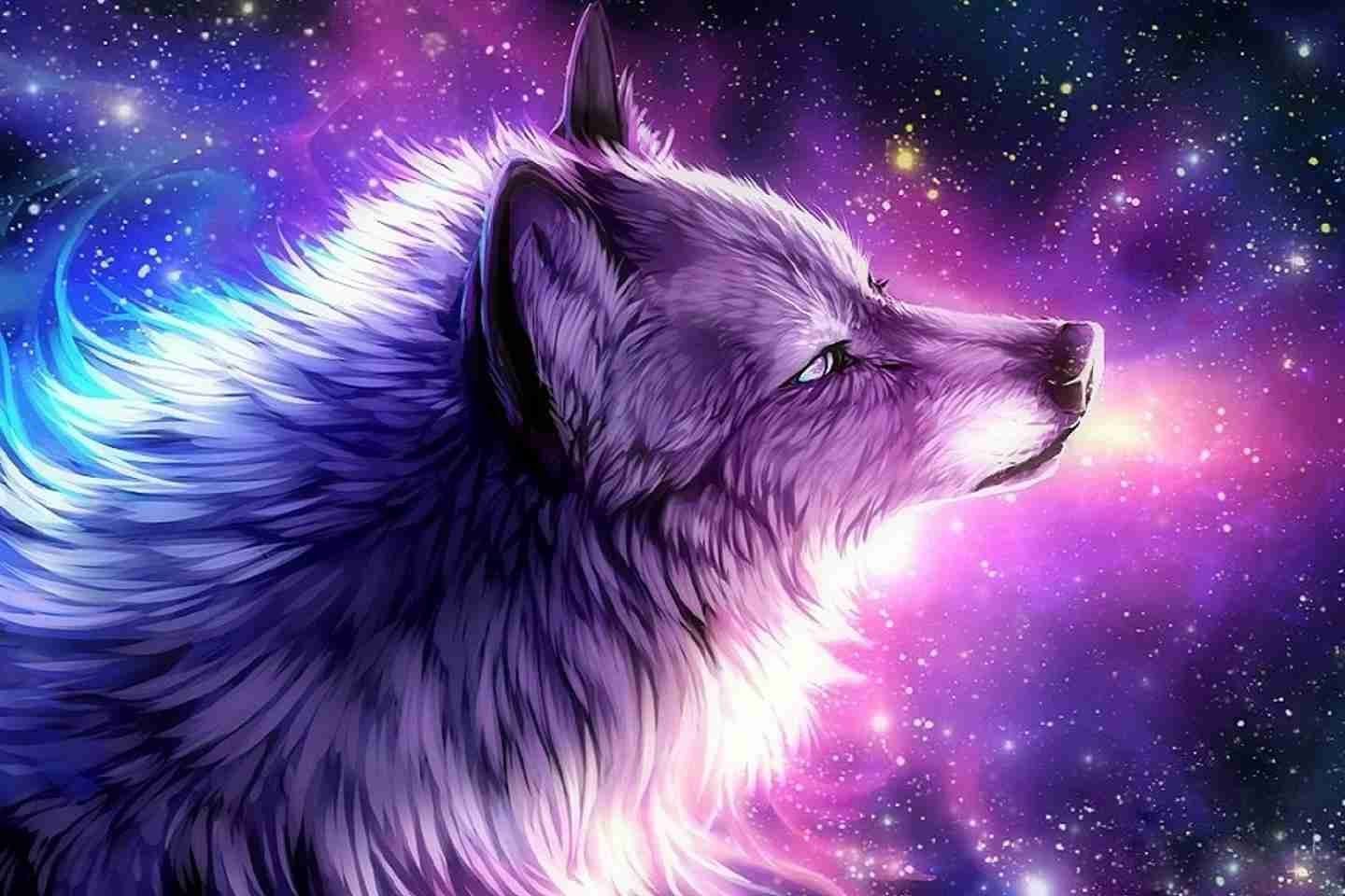 Featured image of post Galaxy Cool Wolf Wallpapers Gif