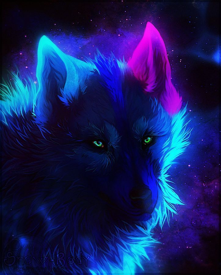 Featured image of post Spirit Galaxy Wolf