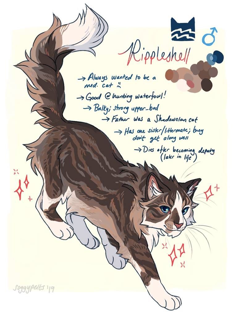 Featured image of post Well Drawn Warrior Cats Ocs